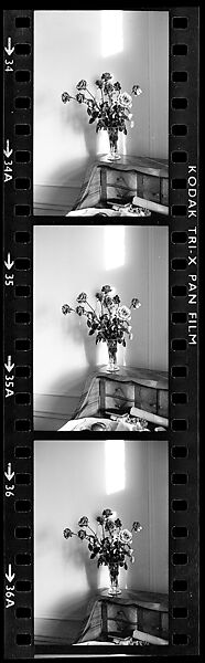 [154 Portraits of the Family of Isabelle Boeschenstein Evans and Architectural Views, Berne, Switzerland--NEGATIVES .103-.118 ARE DAMAGED], Walker Evans (American, St. Louis, Missouri 1903–1975 New Haven, Connecticut), Film negative