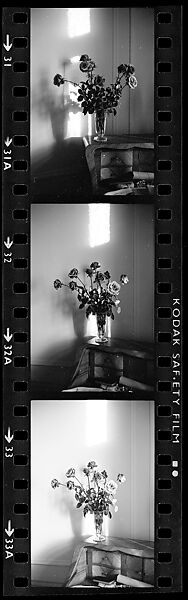 [154 Portraits of the Family of Isabelle Boeschenstein Evans and Architectural Views, Berne, Switzerland--NEGATIVES .103-.118 ARE DAMAGED], Walker Evans (American, St. Louis, Missouri 1903–1975 New Haven, Connecticut), Film negative