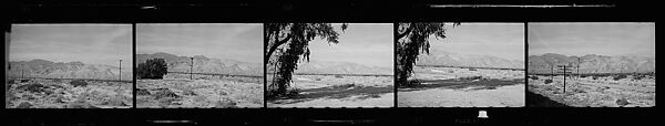 [117 Views of California Landscape from Train Window and 3 Portraits of Unidentified Woman in Restaurant], Walker Evans (American, St. Louis, Missouri 1903–1975 New Haven, Connecticut), Film negative