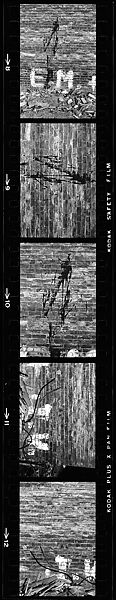 [70 Views of Street Debris, New York City], Walker Evans (American, St. Louis, Missouri 1903–1975 New Haven, Connecticut), Film negative