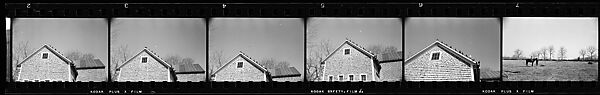 [73 Portraits of the Coggeshall Family and Penelope Andrews, Views of Cemetery and House, North Stonington, Connecticut], Walker Evans (American, St. Louis, Missouri 1903–1975 New Haven, Connecticut), Film negative