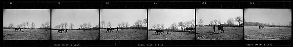 [73 Portraits of the Coggeshall Family and Penelope Andrews, Views of Cemetery and House, North Stonington, Connecticut], Walker Evans (American, St. Louis, Missouri 1903–1975 New Haven, Connecticut), Film negative