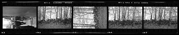[67 Views of Junked Car and Shed and Stone Wall: "Chris Voorhees Junkyard"], Walker Evans (American, St. Louis, Missouri 1903–1975 New Haven, Connecticut), Film negative