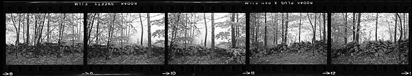 [67 Views of Junked Car and Shed and Stone Wall: "Chris Voorhees Junkyard"], Walker Evans (American, St. Louis, Missouri 1903–1975 New Haven, Connecticut), Film negative