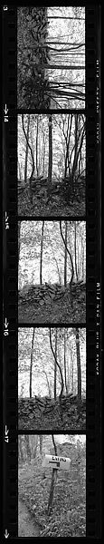 [67 Views of Junked Car and Shed and Stone Wall: "Chris Voorhees Junkyard"], Walker Evans (American, St. Louis, Missouri 1903–1975 New Haven, Connecticut), Film negative