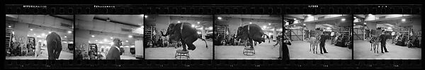 [69 Views of a Circus, Grand Central Station, and Portraits of Unidentified Woman ("Bridget")], Walker Evans (American, St. Louis, Missouri 1903–1975 New Haven, Connecticut), Film negative