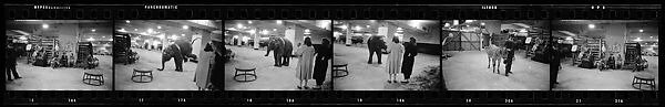 [69 Views of a Circus, Grand Central Station, and Portraits of Unidentified Woman ("Bridget")], Walker Evans (American, St. Louis, Missouri 1903–1975 New Haven, Connecticut), Film negative