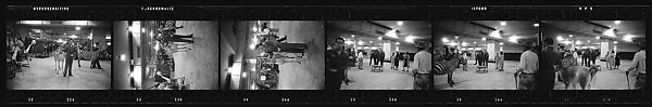 [69 Views of a Circus, Grand Central Station, and Portraits of Unidentified Woman ("Bridget")], Walker Evans (American, St. Louis, Missouri 1903–1975 New Haven, Connecticut), Film negative