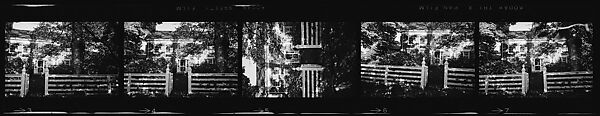[74 Views of Dinner Party at Home of Jack Heliker, Cranberry Island, Maine], Walker Evans (American, St. Louis, Missouri 1903–1975 New Haven, Connecticut), Film negative