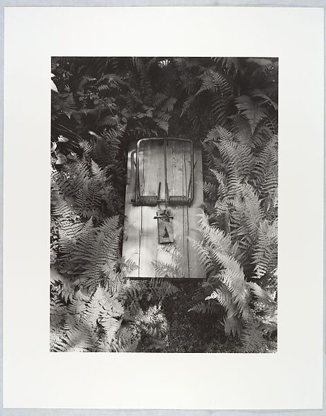Untitled, Robert Gober (American, born Wallingford, Connecticut, 1954), Gelatin silver print 