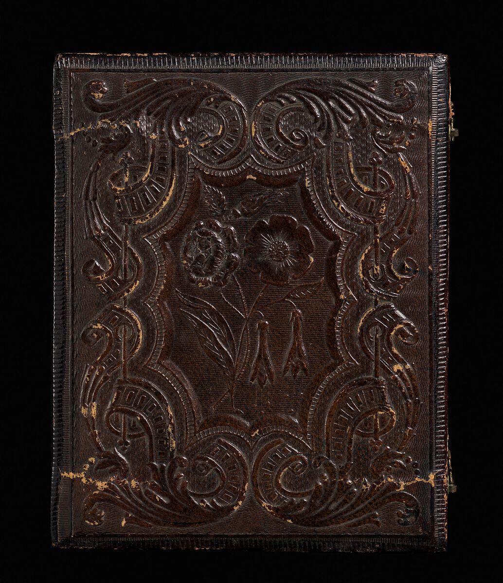 [Woman with Feather], Perkins Gallery (American), daguerreotype