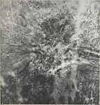 Untitled (Right Panel of Triptych), Adam Fuss (British, born 1961), Gelatin silver print 