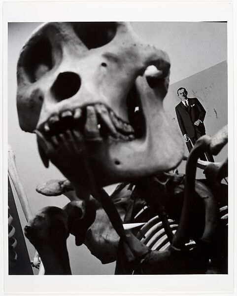 Gorrilla and Undersecretary of State, John Gutmann (American (born Germany), Breslau 1905–1998 San Francisco, California), Gelatin silver print 