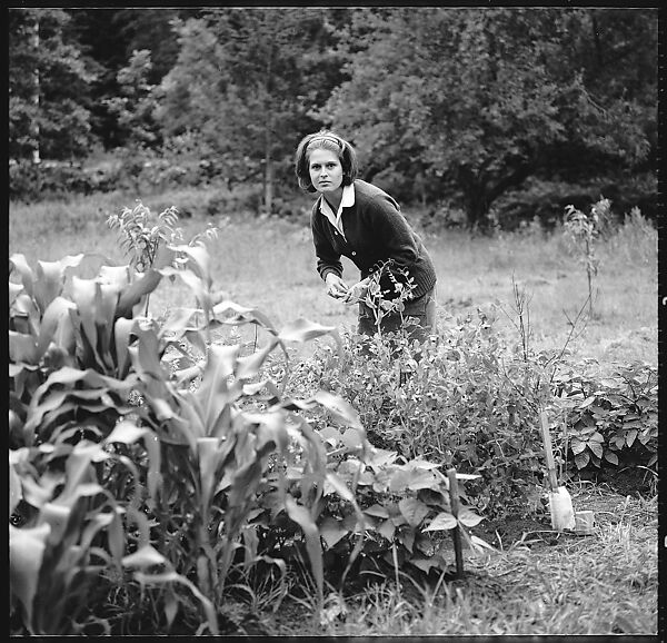 [56 Portraits of Calvert and Susanna Coggeshall and Family, Including Portraits of Isabelle Evans and Interior and Exterior Views of House, Maine], Walker Evans (American, St. Louis, Missouri 1903–1975 New Haven, Connecticut), Film negative