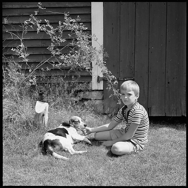 [56 Portraits of Calvert and Susanna Coggeshall and Family, Including Portraits of Isabelle Evans and Interior and Exterior Views of House, Maine], Walker Evans (American, St. Louis, Missouri 1903–1975 New Haven, Connecticut), Film negative