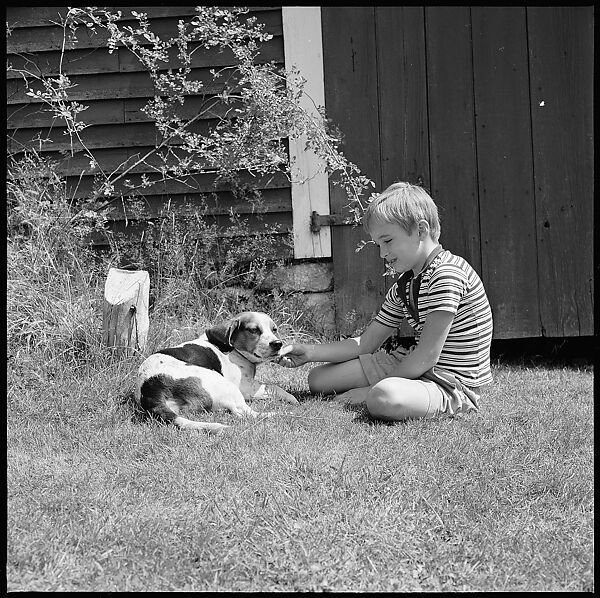 [56 Portraits of Calvert and Susanna Coggeshall and Family, Including Portraits of Isabelle Evans and Interior and Exterior Views of House, Maine], Walker Evans (American, St. Louis, Missouri 1903–1975 New Haven, Connecticut), Film negative