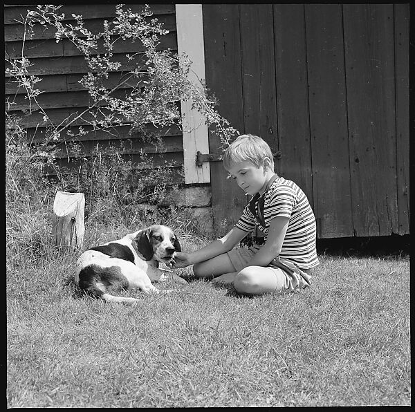 [56 Portraits of Calvert and Susanna Coggeshall and Family, Including Portraits of Isabelle Evans and Interior and Exterior Views of House, Maine], Walker Evans (American, St. Louis, Missouri 1903–1975 New Haven, Connecticut), Film negative