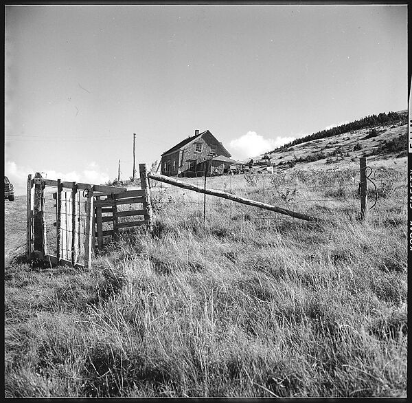 [90 Interior and Exterior Views of the Heliker House and Portraits of Sue Hillis and Others, Cranberry Island, Maine], Walker Evans (American, St. Louis, Missouri 1903–1975 New Haven, Connecticut), Film negative