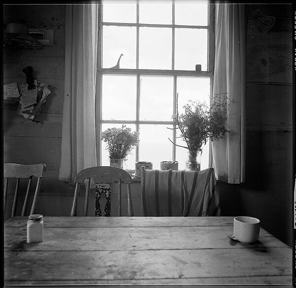 [90 Interior and Exterior Views of the Heliker House and Portraits of Sue Hillis and Others, Cranberry Island, Maine], Walker Evans (American, St. Louis, Missouri 1903–1975 New Haven, Connecticut), Film negative