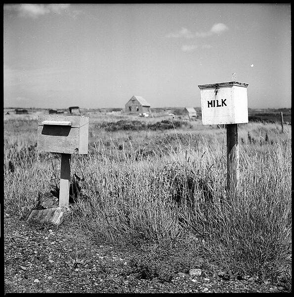 [198 Portraits Betty Parsons, Jock Truman, Sue and Ted Hilles, and Interior and Exterior Architectural Views from Trip to Nova Scotia], Walker Evans (American, St. Louis, Missouri 1903–1975 New Haven, Connecticut), Film negative