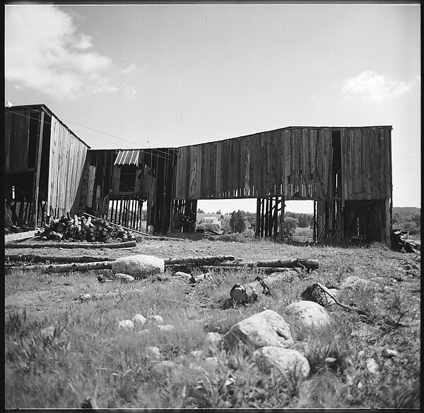 [198 Portraits Betty Parsons, Jock Truman, Sue and Ted Hilles, and Interior and Exterior Architectural Views from Trip to Nova Scotia], Walker Evans (American, St. Louis, Missouri 1903–1975 New Haven, Connecticut), Film negative