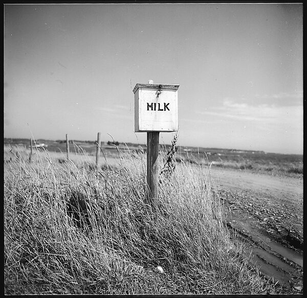 [198 Portraits Betty Parsons, Jock Truman, Sue and Ted Hilles, and Interior and Exterior Architectural Views from Trip to Nova Scotia], Walker Evans (American, St. Louis, Missouri 1903–1975 New Haven, Connecticut), Film negative