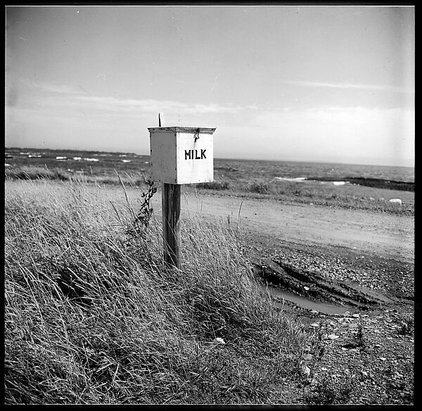 [198 Portraits Betty Parsons, Jock Truman, Sue and Ted Hilles, and Interior and Exterior Architectural Views from Trip to Nova Scotia], Walker Evans (American, St. Louis, Missouri 1903–1975 New Haven, Connecticut), Film negative