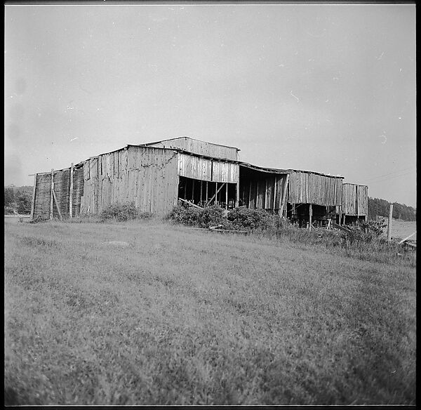 [198 Portraits Betty Parsons, Jock Truman, Sue and Ted Hilles, and Interior and Exterior Architectural Views from Trip to Nova Scotia], Walker Evans (American, St. Louis, Missouri 1903–1975 New Haven, Connecticut), Film negative