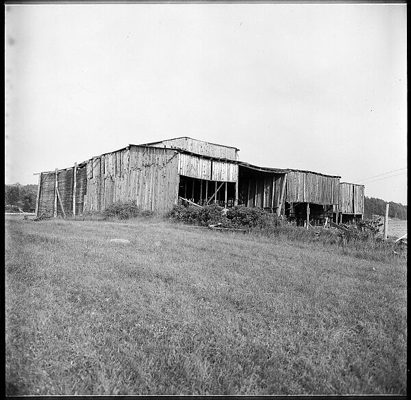 [198 Portraits Betty Parsons, Jock Truman, Sue and Ted Hilles, and Interior and Exterior Architectural Views from Trip to Nova Scotia], Walker Evans (American, St. Louis, Missouri 1903–1975 New Haven, Connecticut), Film negative