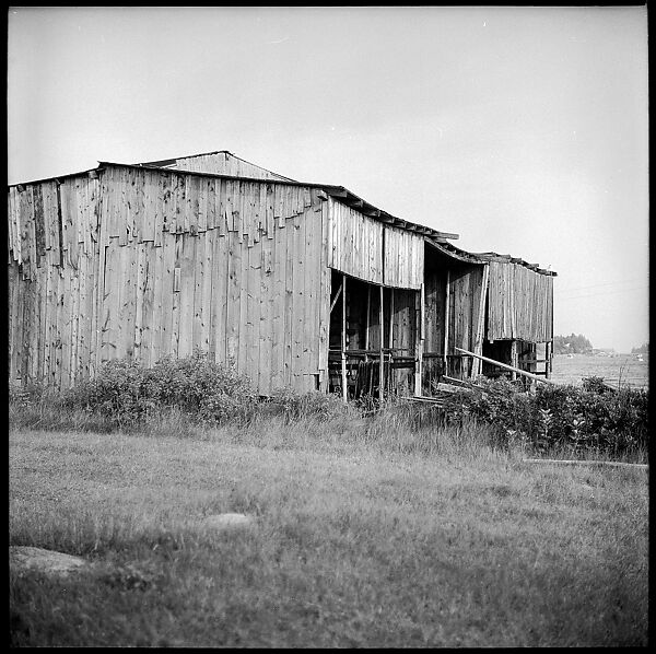 [198 Portraits Betty Parsons, Jock Truman, Sue and Ted Hilles, and Interior and Exterior Architectural Views from Trip to Nova Scotia], Walker Evans (American, St. Louis, Missouri 1903–1975 New Haven, Connecticut), Film negative
