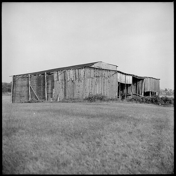 [198 Portraits Betty Parsons, Jock Truman, Sue and Ted Hilles, and Interior and Exterior Architectural Views from Trip to Nova Scotia], Walker Evans (American, St. Louis, Missouri 1903–1975 New Haven, Connecticut), Film negative