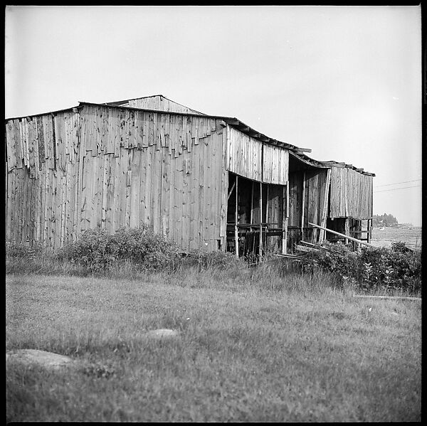 [198 Portraits Betty Parsons, Jock Truman, Sue and Ted Hilles, and Interior and Exterior Architectural Views from Trip to Nova Scotia], Walker Evans (American, St. Louis, Missouri 1903–1975 New Haven, Connecticut), Film negative