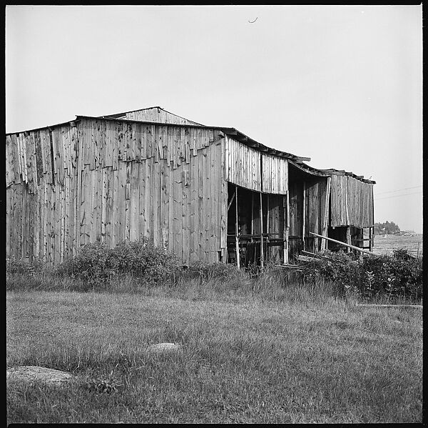 [198 Portraits Betty Parsons, Jock Truman, Sue and Ted Hilles, and Interior and Exterior Architectural Views from Trip to Nova Scotia], Walker Evans (American, St. Louis, Missouri 1903–1975 New Haven, Connecticut), Film negative