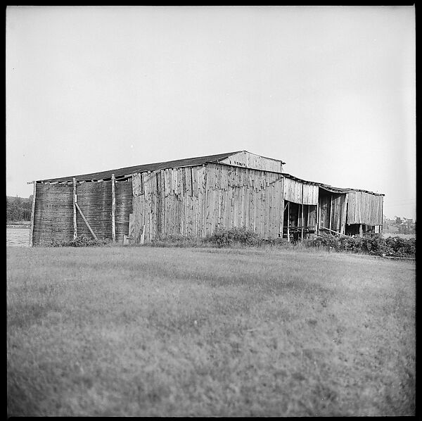 [198 Portraits Betty Parsons, Jock Truman, Sue and Ted Hilles, and Interior and Exterior Architectural Views from Trip to Nova Scotia], Walker Evans (American, St. Louis, Missouri 1903–1975 New Haven, Connecticut), Film negative