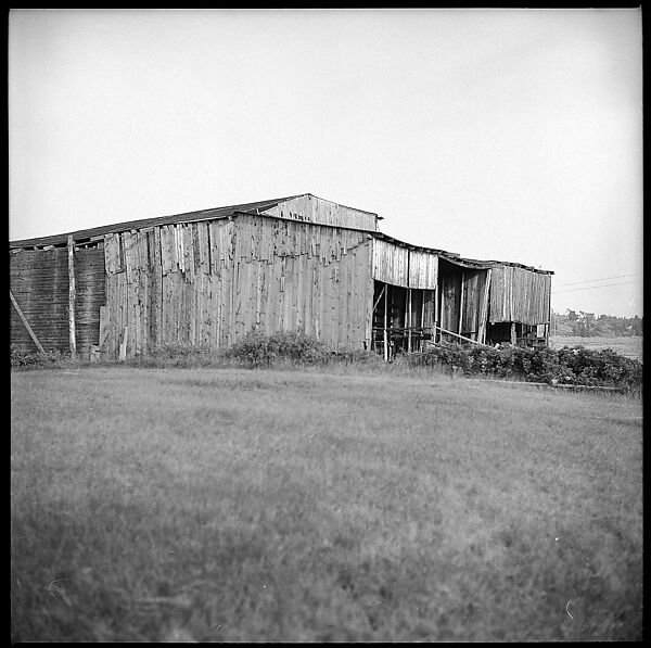 [198 Portraits Betty Parsons, Jock Truman, Sue and Ted Hilles, and Interior and Exterior Architectural Views from Trip to Nova Scotia], Walker Evans (American, St. Louis, Missouri 1903–1975 New Haven, Connecticut), Film negative