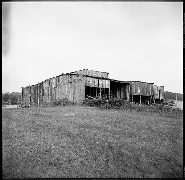 [198 Portraits Betty Parsons, Jock Truman, Sue and Ted Hilles, and Interior and Exterior Architectural Views from Trip to Nova Scotia], Walker Evans (American, St. Louis, Missouri 1903–1975 New Haven, Connecticut), Film negative