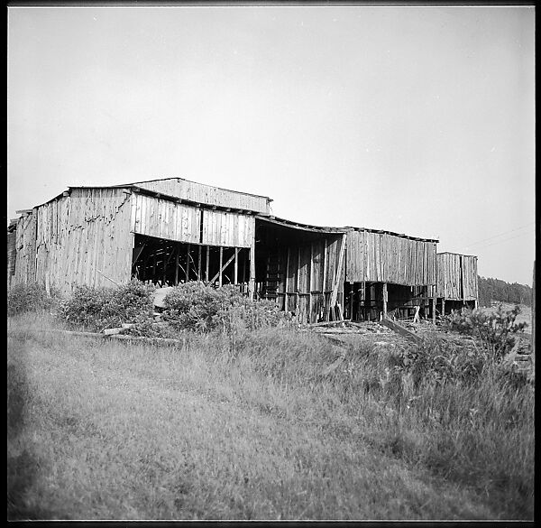 [198 Portraits Betty Parsons, Jock Truman, Sue and Ted Hilles, and Interior and Exterior Architectural Views from Trip to Nova Scotia], Walker Evans (American, St. Louis, Missouri 1903–1975 New Haven, Connecticut), Film negative