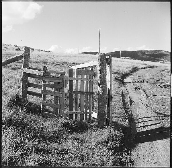 [36 Views of Fence and Path Leading to Robert Frank's House, Nova Scotia], Walker Evans (American, St. Louis, Missouri 1903–1975 New Haven, Connecticut), Film negative 