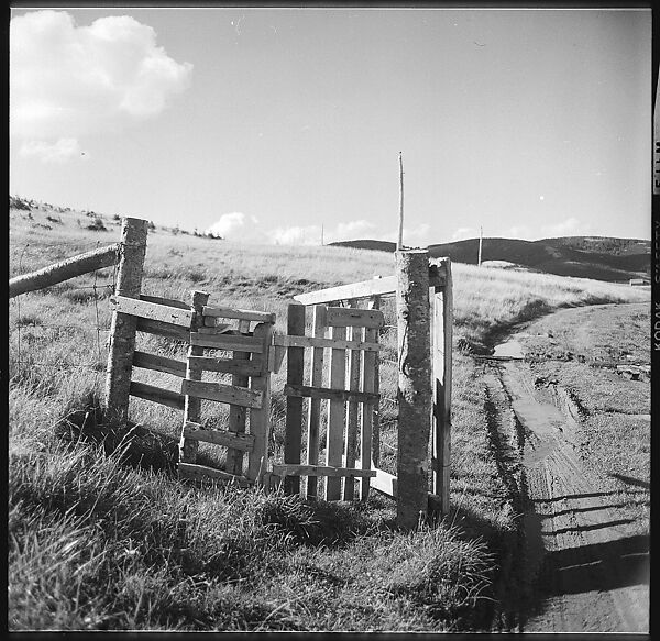 [36 Views of Fence and Path Leading to Robert Frank's House, Nova Scotia], Walker Evans (American, St. Louis, Missouri 1903–1975 New Haven, Connecticut), Film negative