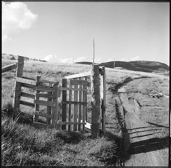 [36 Views of Fence and Path Leading to Robert Frank's House, Nova Scotia], Walker Evans (American, St. Louis, Missouri 1903–1975 New Haven, Connecticut), Film negative