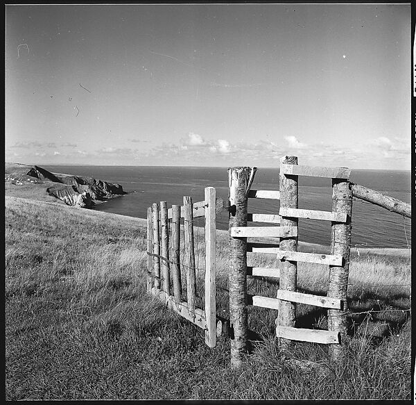 [36 Views of Fence and Path Leading to Robert Frank's House, Nova Scotia], Walker Evans (American, St. Louis, Missouri 1903–1975 New Haven, Connecticut), Film negative