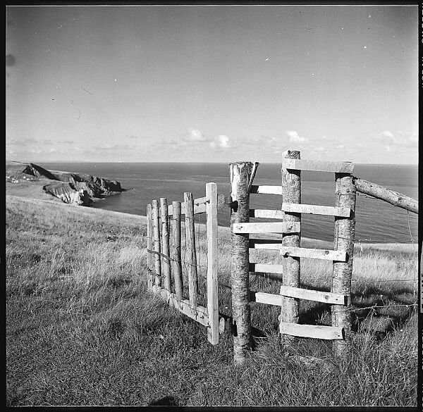 [36 Views of Fence and Path Leading to Robert Frank's House, Nova Scotia], Walker Evans (American, St. Louis, Missouri 1903–1975 New Haven, Connecticut), Film negative