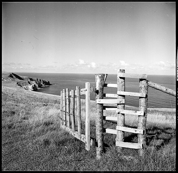 [36 Views of Fence and Path Leading to Robert Frank's House, Nova Scotia], Walker Evans (American, St. Louis, Missouri 1903–1975 New Haven, Connecticut), Film negative