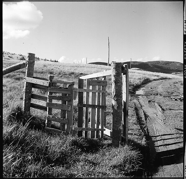 [36 Views of Fence and Path Leading to Robert Frank's House, Nova Scotia], Walker Evans (American, St. Louis, Missouri 1903–1975 New Haven, Connecticut), Film negative