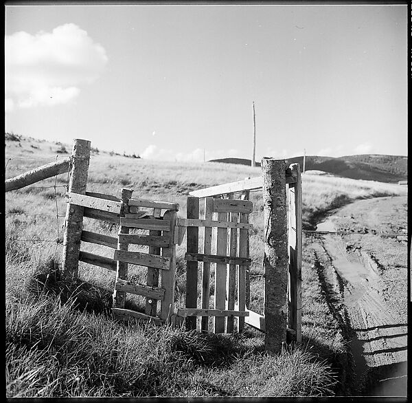 [36 Views of Fence and Path Leading to Robert Frank's House, Nova Scotia], Walker Evans (American, St. Louis, Missouri 1903–1975 New Haven, Connecticut), Film negative