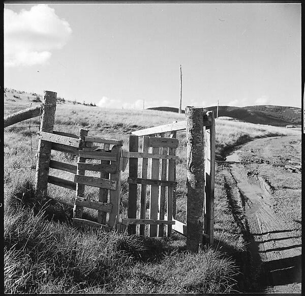 [36 Views of Fence and Path Leading to Robert Frank's House, Nova Scotia], Walker Evans (American, St. Louis, Missouri 1903–1975 New Haven, Connecticut), Film negative