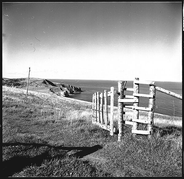[36 Views of Fence and Path Leading to Robert Frank's House, Nova Scotia], Walker Evans (American, St. Louis, Missouri 1903–1975 New Haven, Connecticut), Film negative