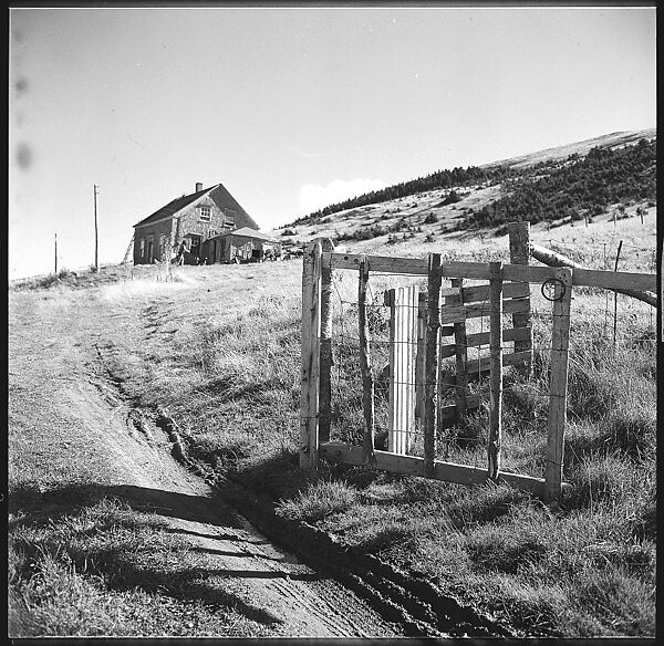 [36 Views of Fence and Path Leading to Robert Frank's House, Nova Scotia], Walker Evans (American, St. Louis, Missouri 1903–1975 New Haven, Connecticut), Film negative