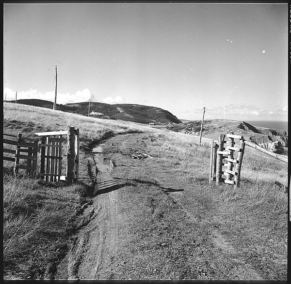 [36 Views of Fence and Path Leading to Robert Frank's House, Nova Scotia], Walker Evans (American, St. Louis, Missouri 1903–1975 New Haven, Connecticut), Film negative