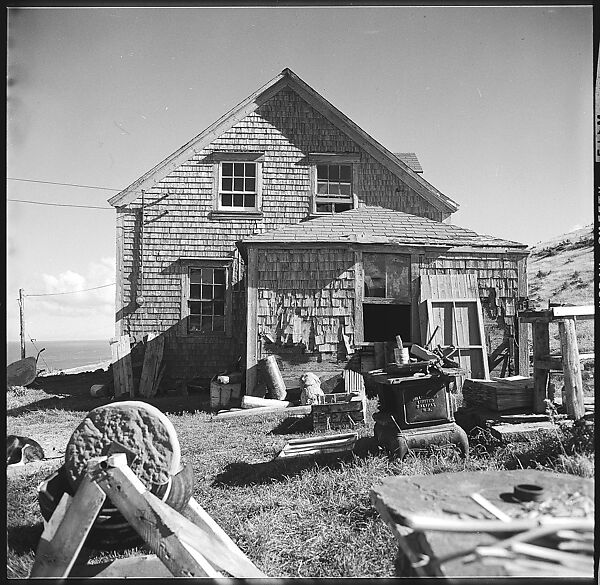 [36 Views of Fence and Path Leading to Robert Frank's House, Nova Scotia], Walker Evans (American, St. Louis, Missouri 1903–1975 New Haven, Connecticut), Film negative